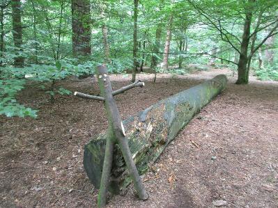 Waywood